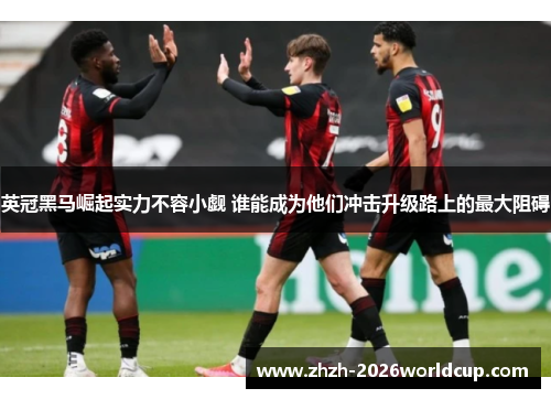 英冠黑马崛起实力不容小觑 谁能成为他们冲击升级路上的最大阻碍