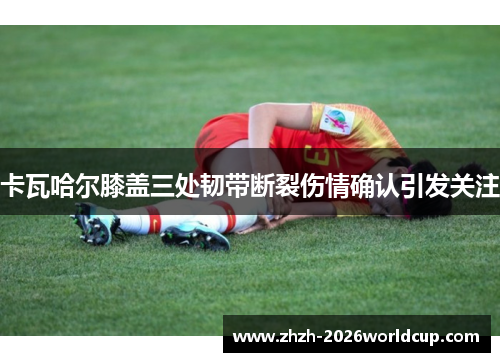 卡瓦哈尔膝盖三处韧带断裂伤情确认引发关注
